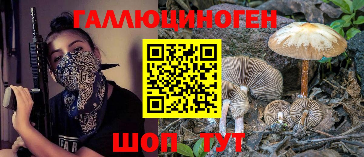 Альметьевск  Псилоцибиновые грибы Cubensis  Вход с VPN 