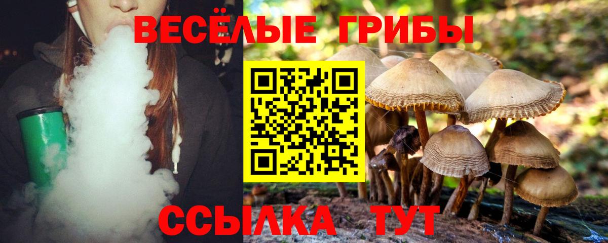Галлюциногенные грибы прущие грибы Альметьевск